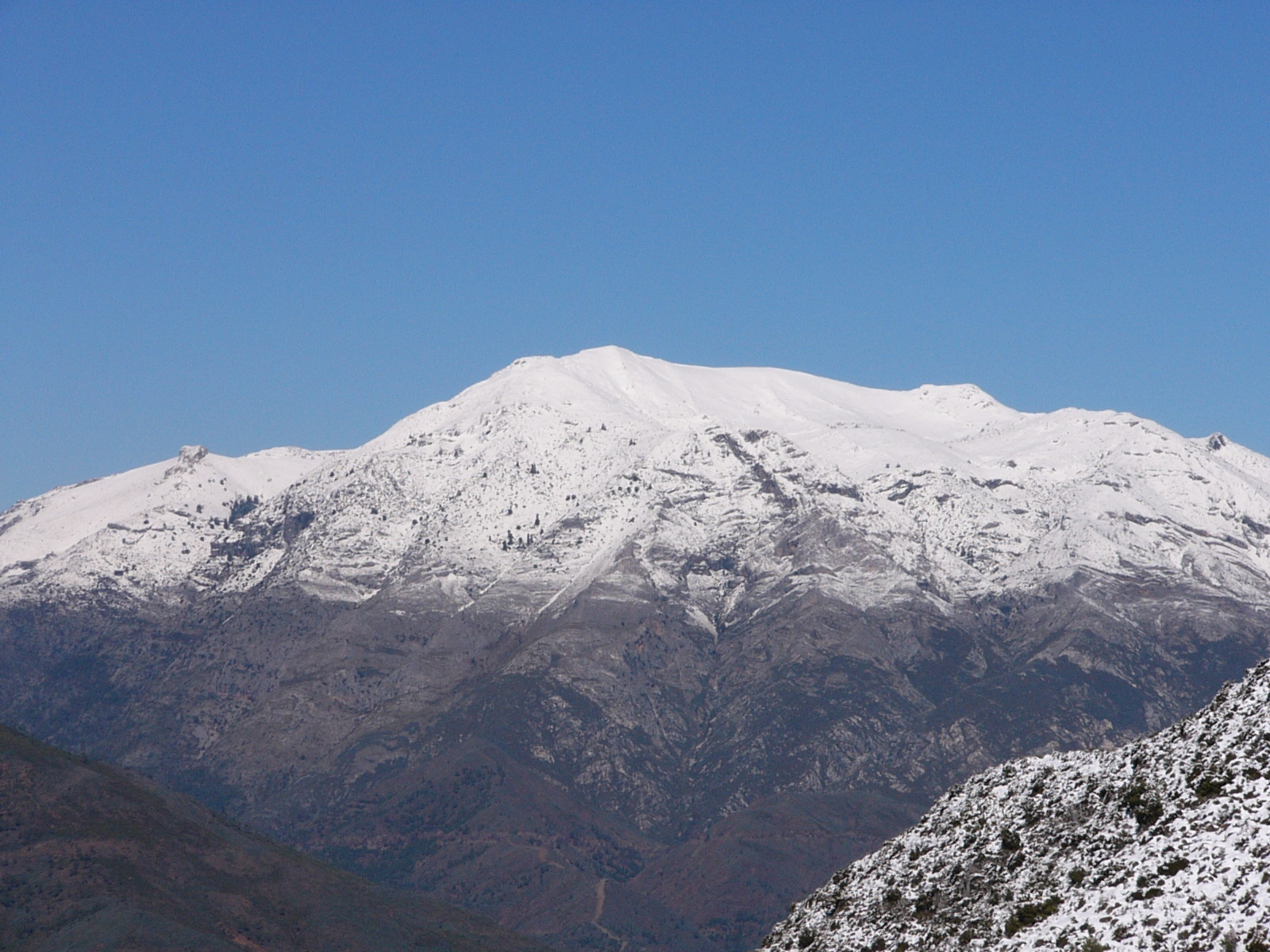 Torrecilla