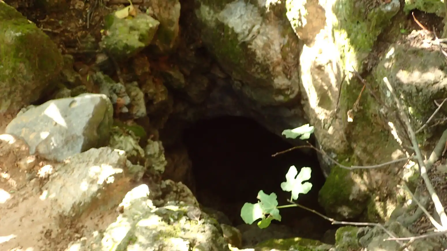 arc_314236_g